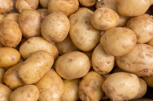 Fresh POTATO abstract fruit colorful 