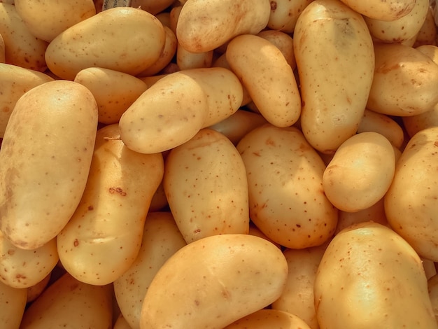 Fresh potatoes closeup a healthy eating concept