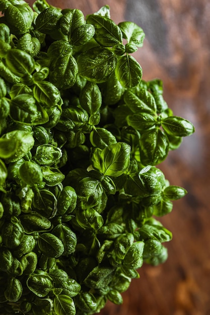 Fresh produce photography Basil in a pot on the wooden table