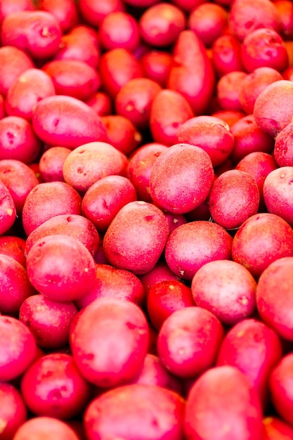 Fresh produce on sale at the local farmers market.