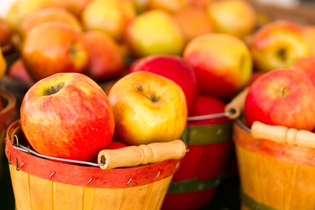 Fresh produce on sale at the local farmers market.