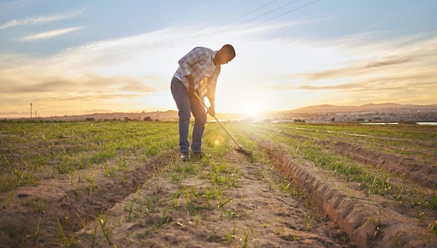 Fresh produce Shot of a farmer working on a field