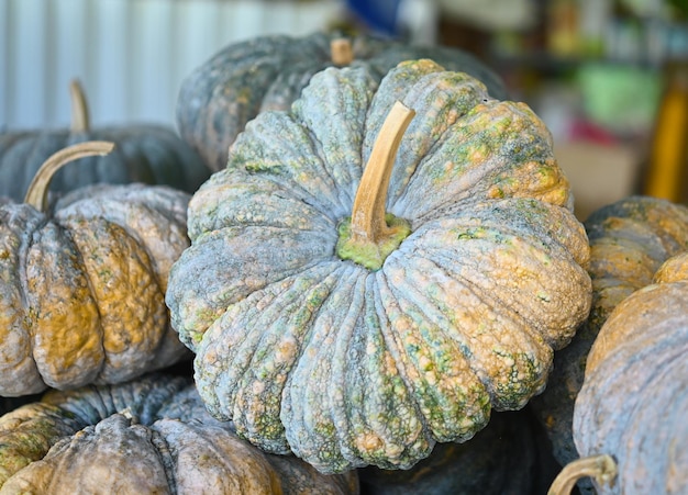 Fresh Pumkin in local marketvegetable high xDBeta carotene  good for health