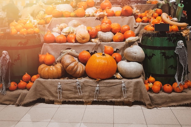 Fresh pumpkins on shelves for sale Harvest halloween and thanksgiving symbol Ripe vegetables at farmers market