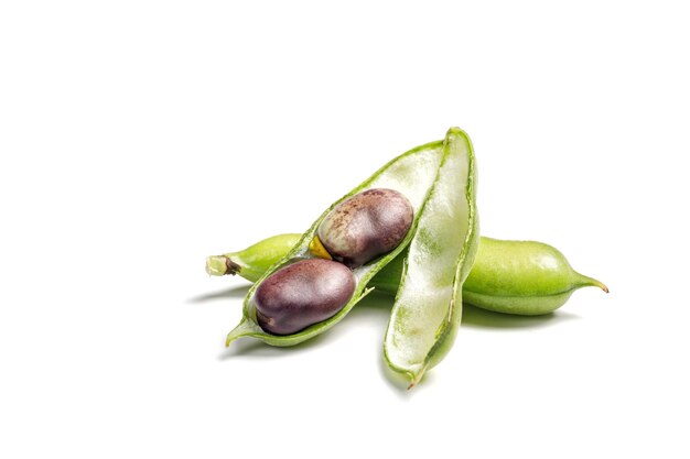 Fresh purple beans in a green pod isolated on white background String beans with clipping path