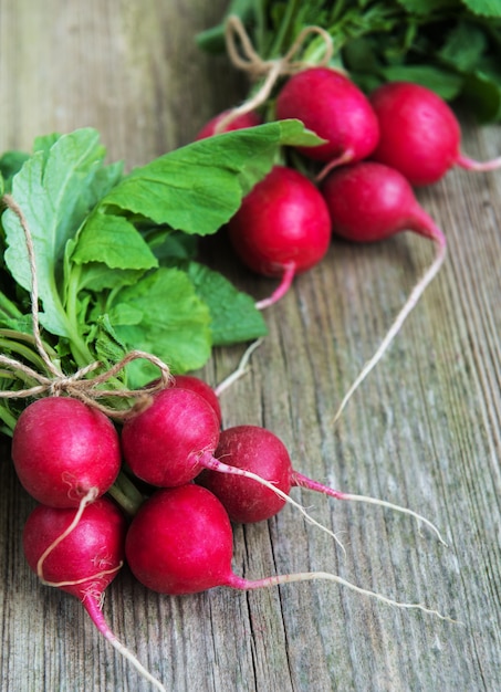 Fresh purple radish