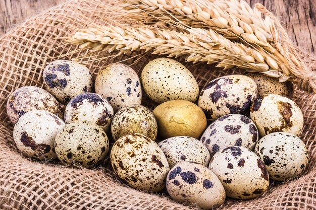 Fresh quail eggs and ears of wheat