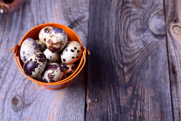 Fresh quail eggs in an orange bucket