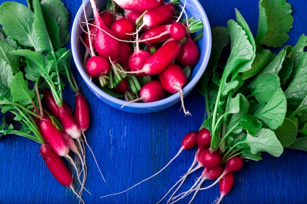 Fresh radish in blue bowl