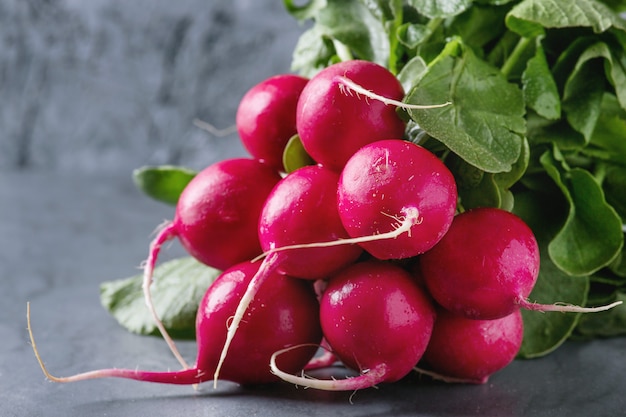 Fresh radish bundle