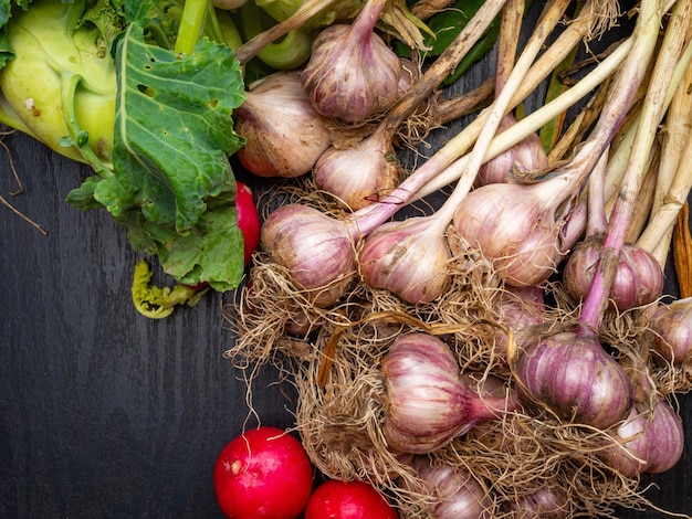 Fresh radish garlic kohlrabi Autumn harvest rich in fiber Vegan food