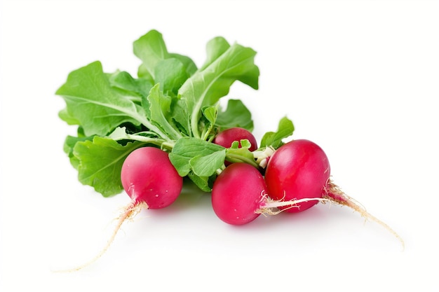 Fresh radish isolated on white background