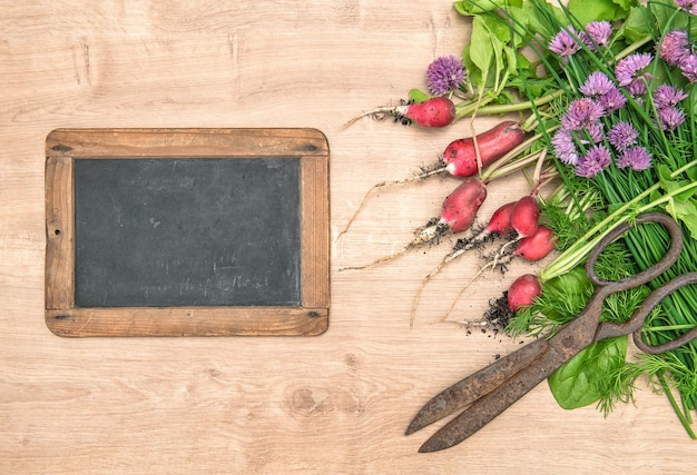 Fresh radish with green garden herbs Vegetables and chalkboard