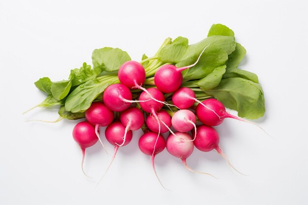 Fresh radishes on white background