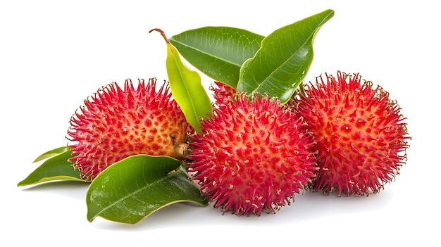 Fresh Rambutan Fruits with Green Leaves