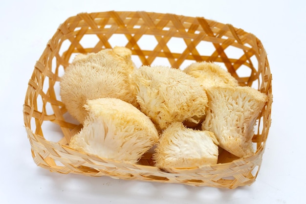 Fresh rare lion's mane mushroom