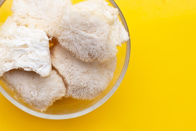 Fresh rare lion's mane mushroom