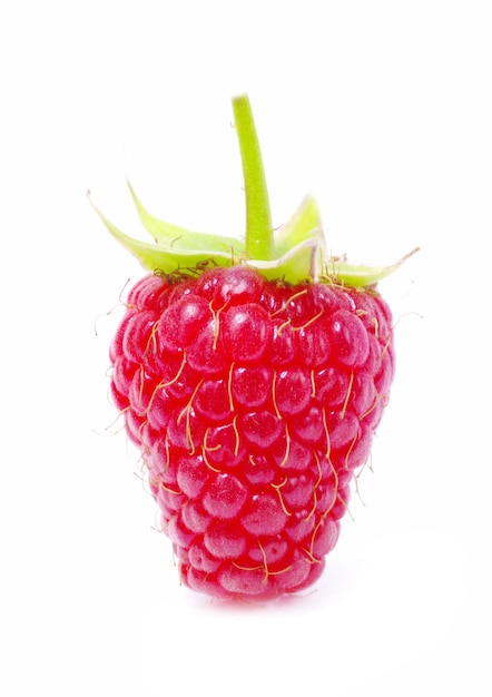 fresh raspberry closeup isolated on white background