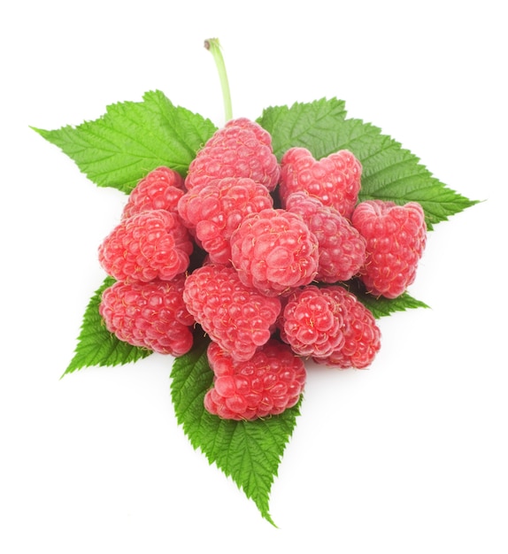 Fresh raspberry with green leaf on white background