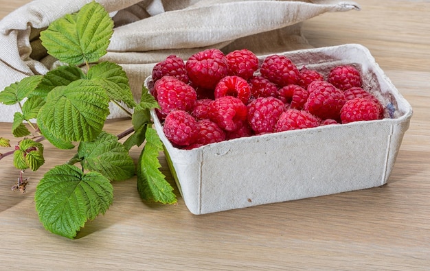 Fresh raspberry