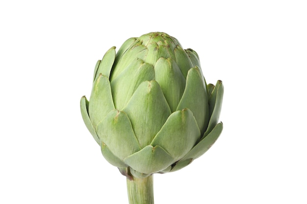 Fresh raw artichoke isolated on white background