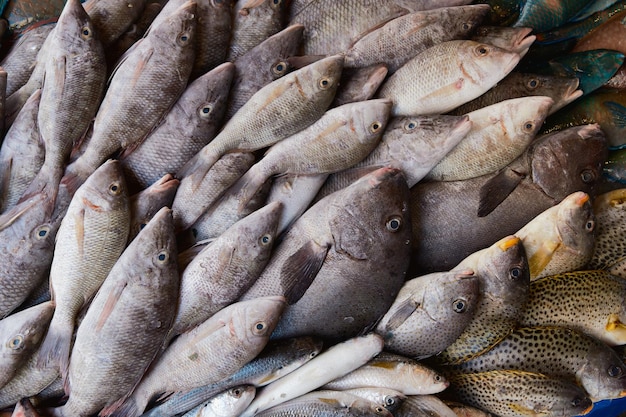 Fresh raw caught fishes on ice sale at fish market Seafood pattern