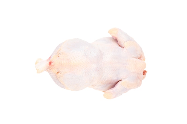 Fresh raw chicken carcass on a white background