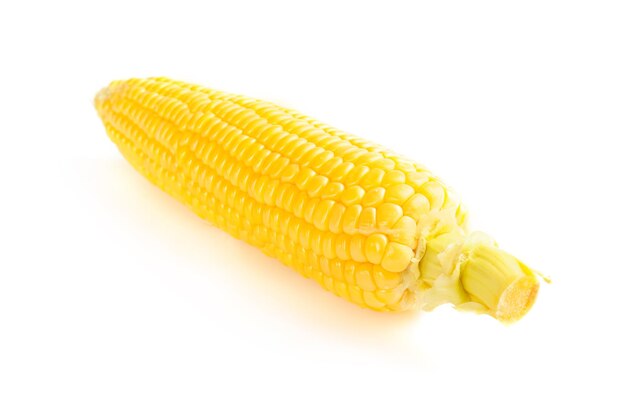 Fresh raw corn cob  isolated on the white