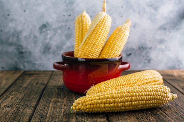 Fresh raw corn on the cob