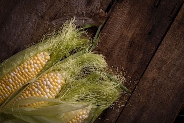 Fresh raw corn on cobs on an old wooden table autumnal harvest background in a dark mood