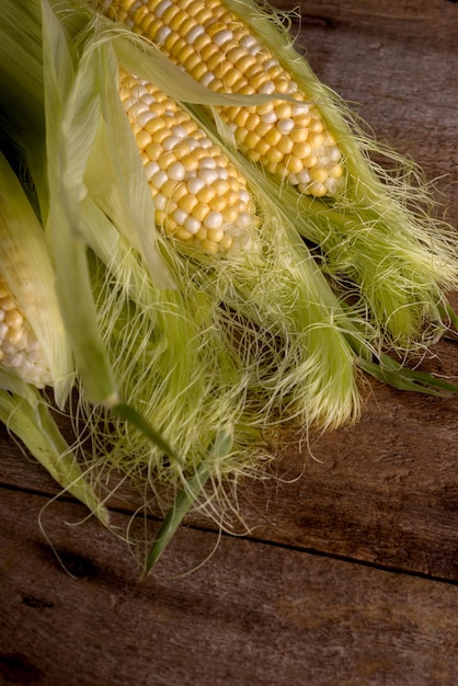 Fresh raw corn on cobs on an old wooden table autumnal harvest background in a dark mood