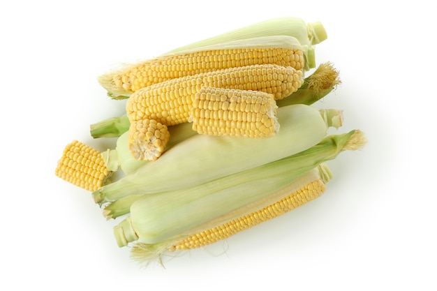 Fresh raw corn isolated on white background