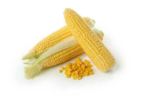 Fresh raw corn isolated on white background