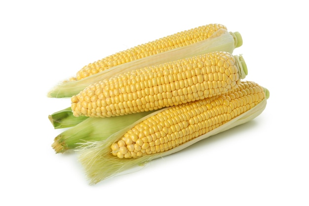 Fresh raw corn isolated on white background