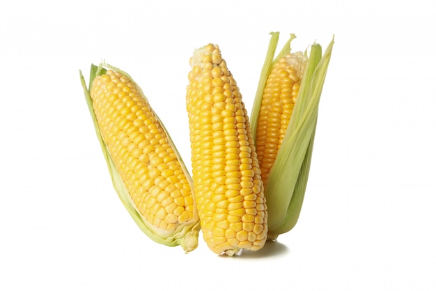 Fresh raw corn on white