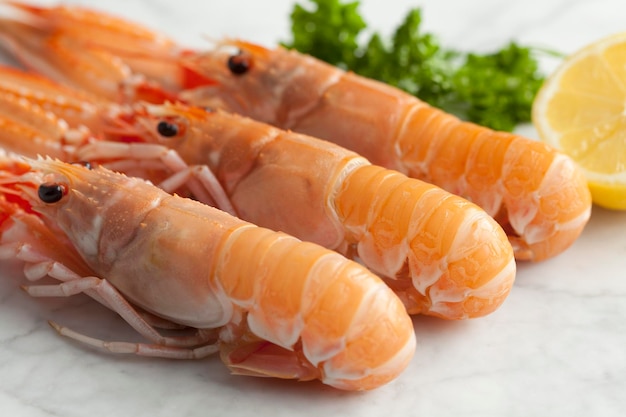 Fresh raw langoustines