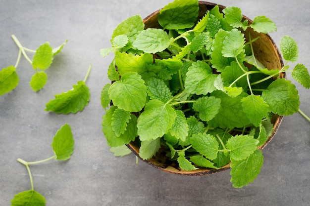 Fresh raw mint leaves on gray background.