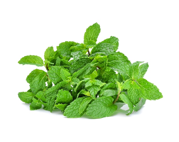 Fresh raw mint leaves isolated on white background