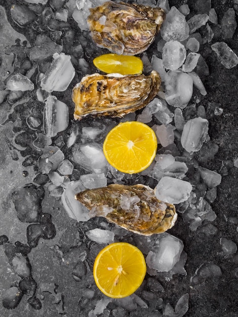 Fresh raw oysters on ice with lemon slices mollusk of the Atlantic Ocean