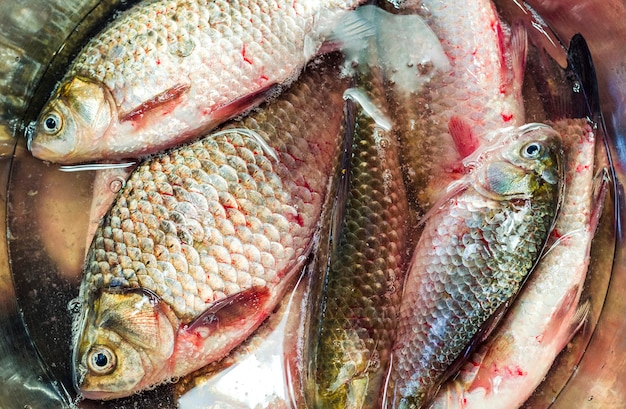 Fresh raw not peeled freshwater crucian in a bowl