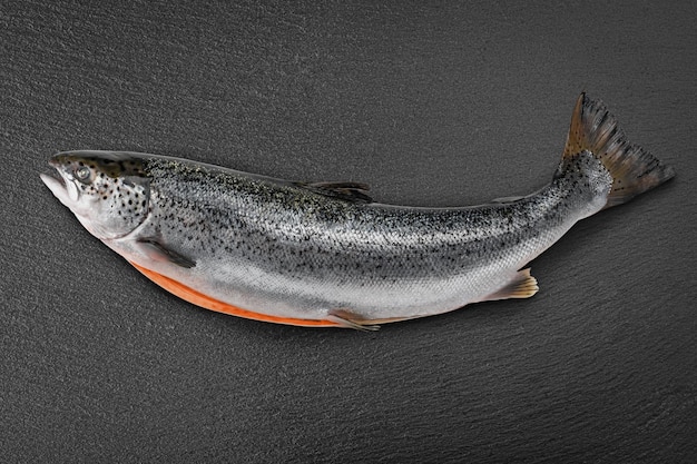 Fresh raw salmon red fish on black stone background Creative layout made of fish top view Raw salmon carcass Sea fish healthy food