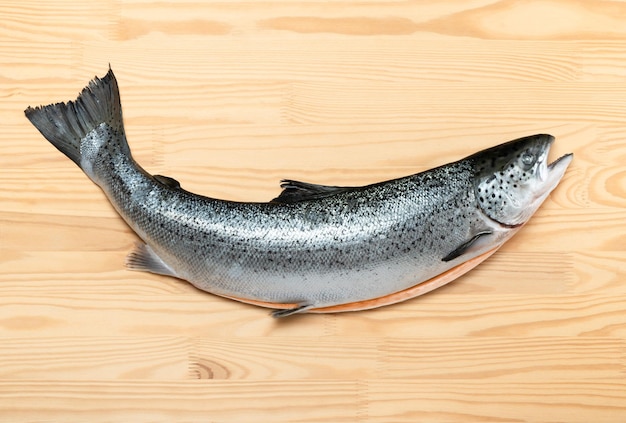 Fresh raw salmon red fish on wooden background gutted trout carcass lies on wooden board for cutting fish Fresh raw salmon red fish whole salmon carcass on wooden background