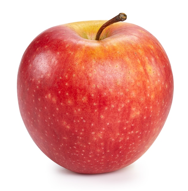 Fresh red apple isolated close up