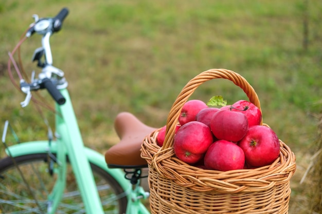 Fresh red apples in a wicker basket on the trunk of a vintage bicycle