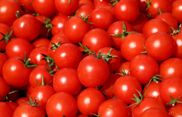 Fresh red cherry tomatos