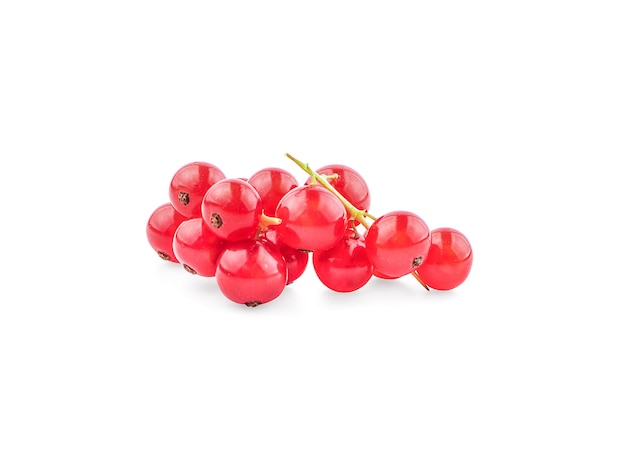 Fresh red currant isolated