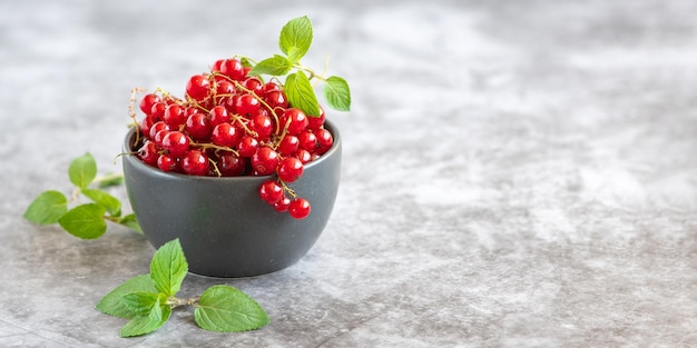 Fresh red currants in dark bowl on grey background With copy space