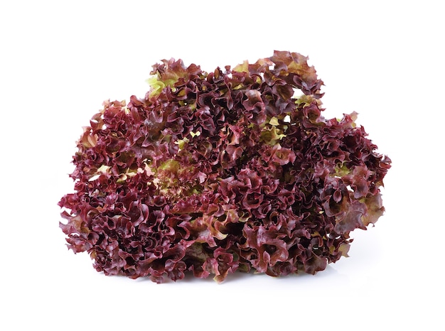 Fresh red lettuce on white background