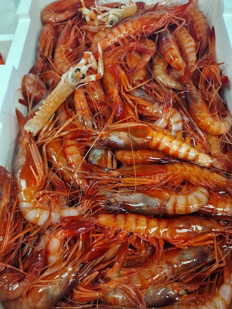 fresh red mediterranean shrimps in a box at fish market detail