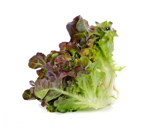 Fresh red oak lettuce isolated on white 